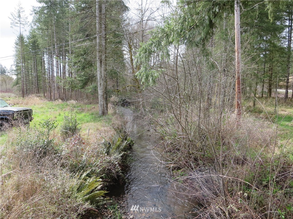 250 Logan Hill Road Chehalis, WA 98532 - Photo 24 of 25 a view of a forest with trees