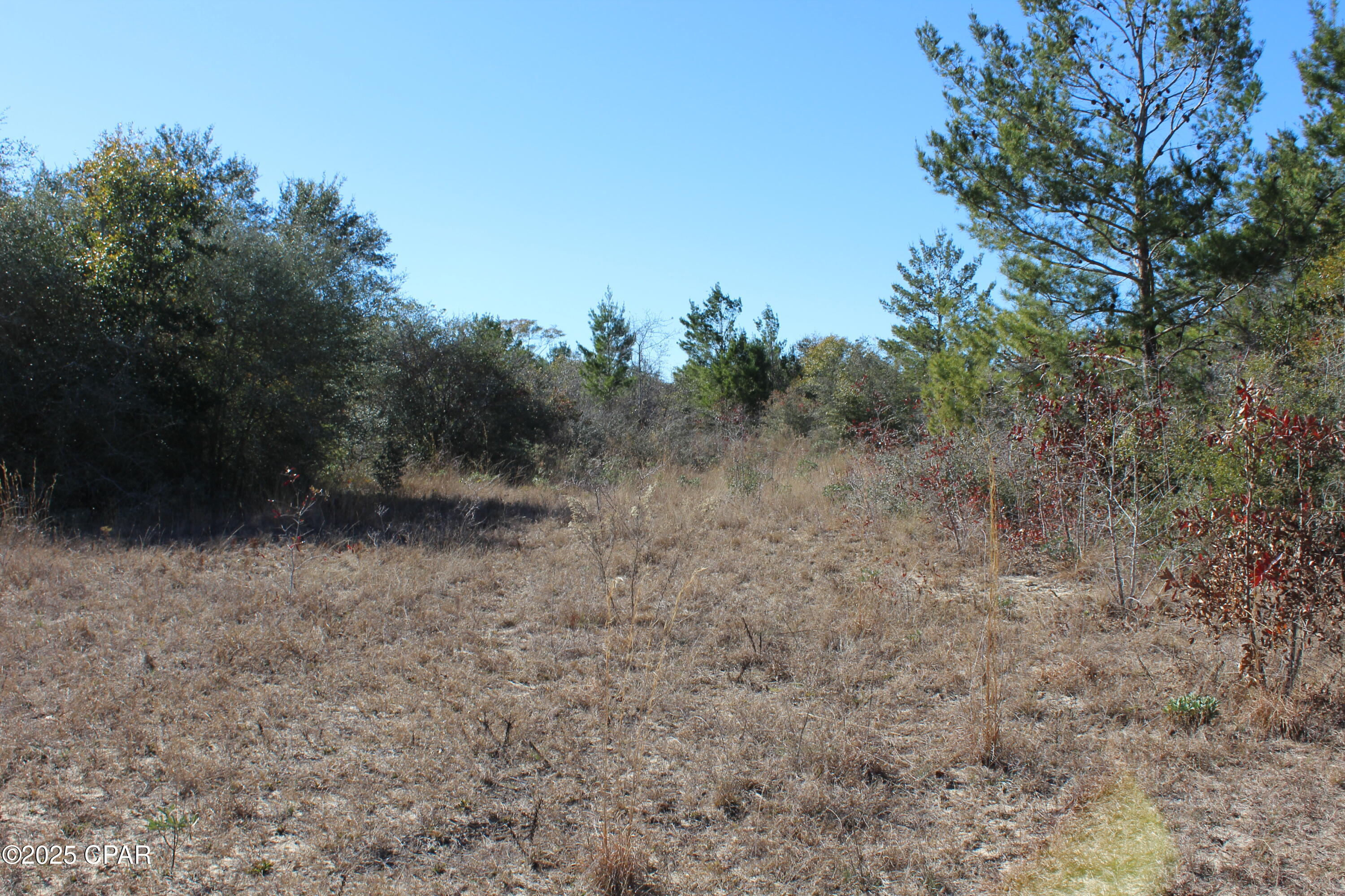 Tbd Holmes Valley Road Vernon, FL 32462 - Photo 6 of 10