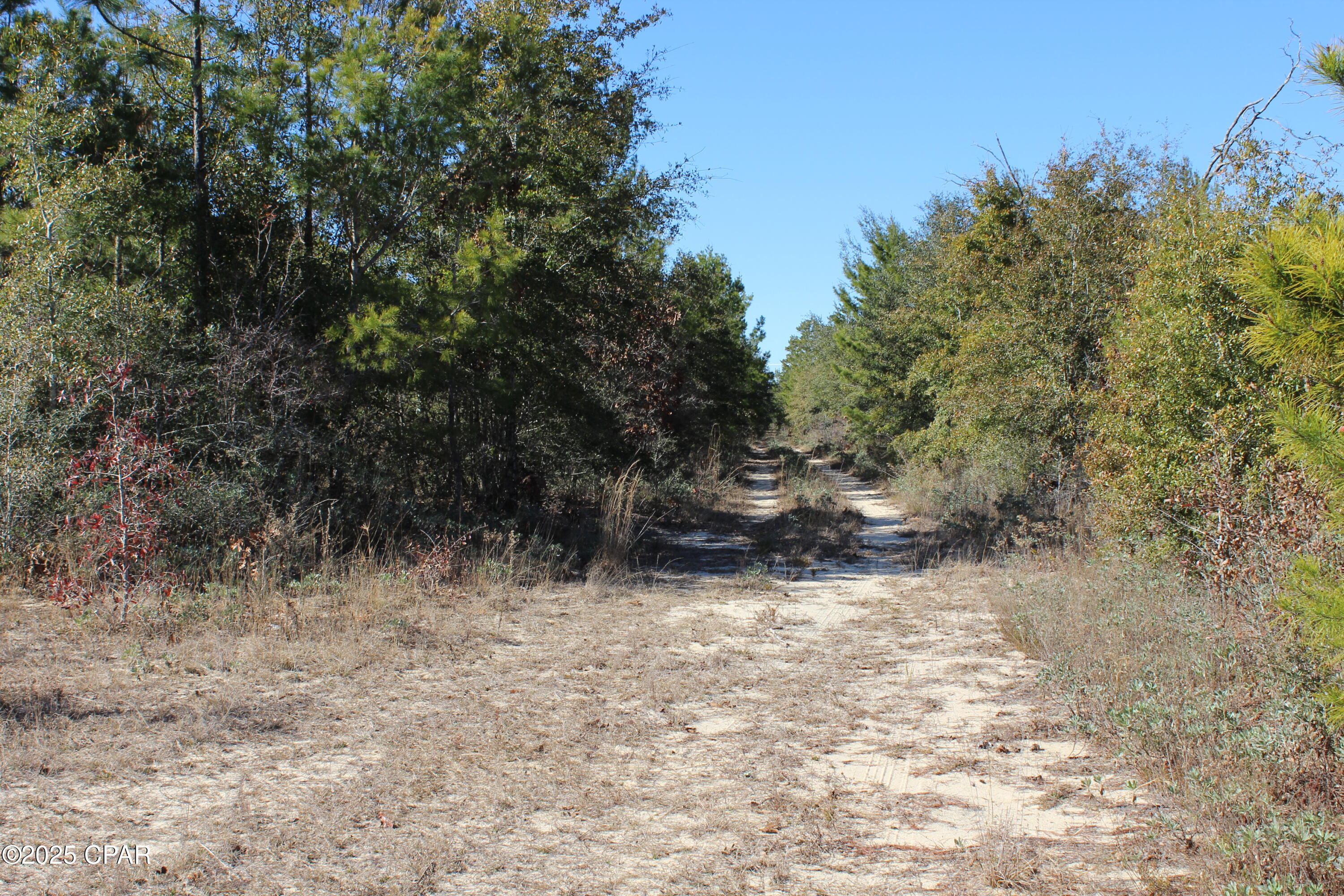 Tbd Holmes Valley Road Vernon, FL 32462 - Photo 7 of 10