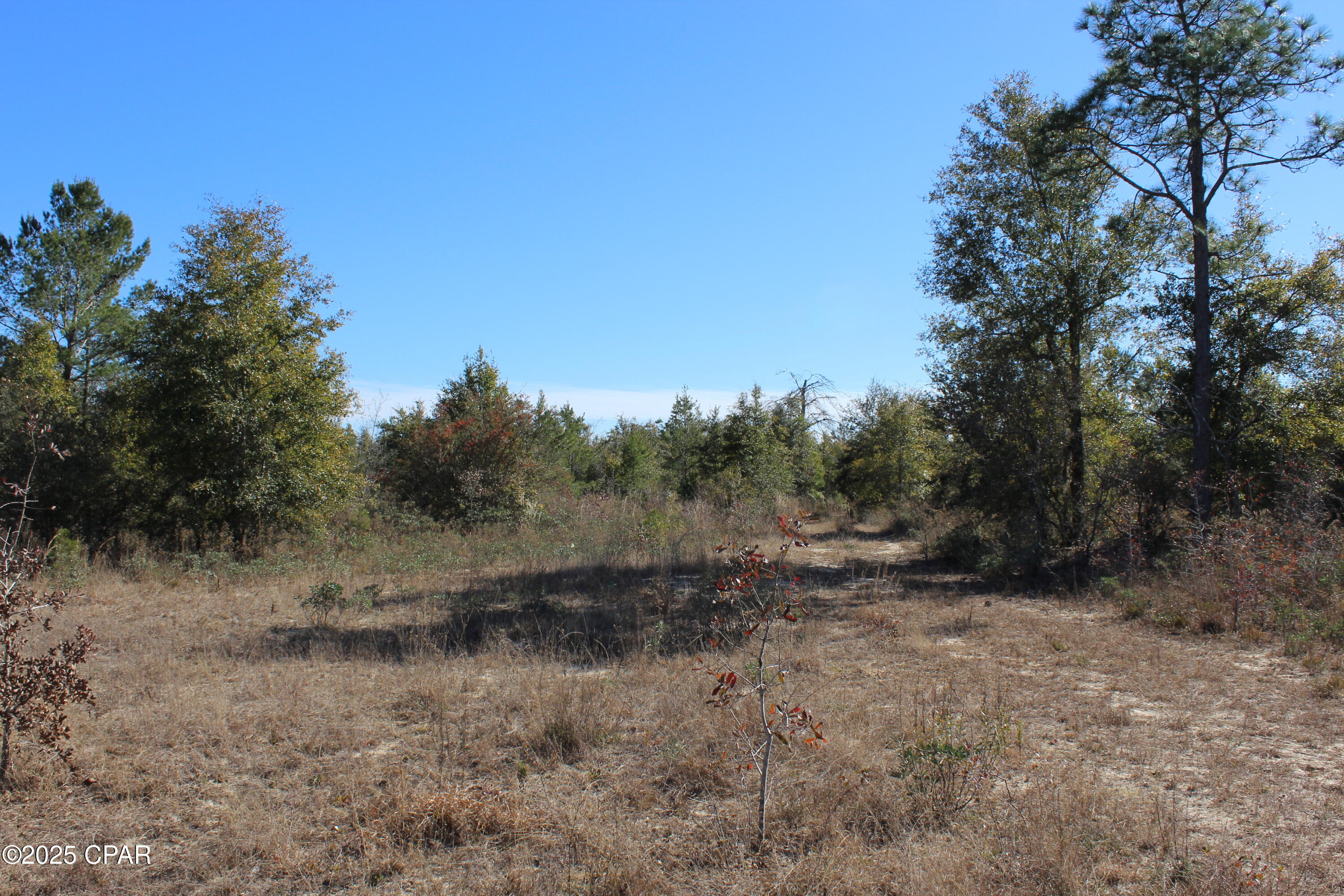 Tbd Holmes Valley Road Vernon, FL 32462 - Photo 8 of 10