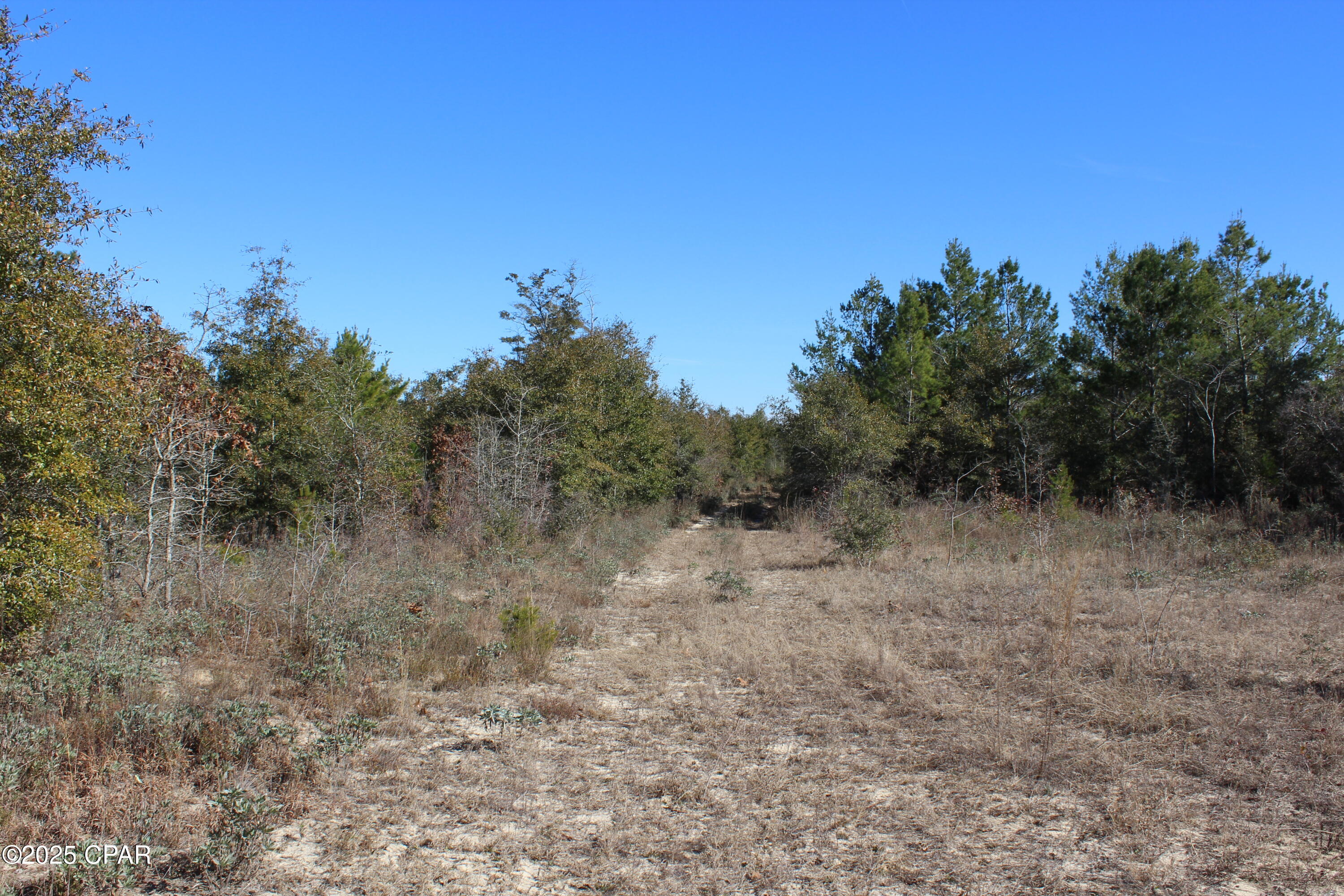 Tbd Holmes Valley Road Vernon, FL 32462 - Photo 9 of 10