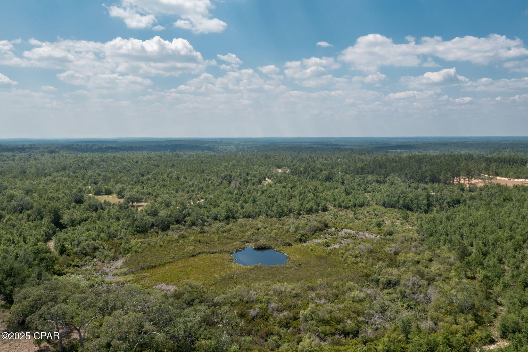 Tbd Holmes Valley Road Vernon, FL 32462 - Photo 10 of 10