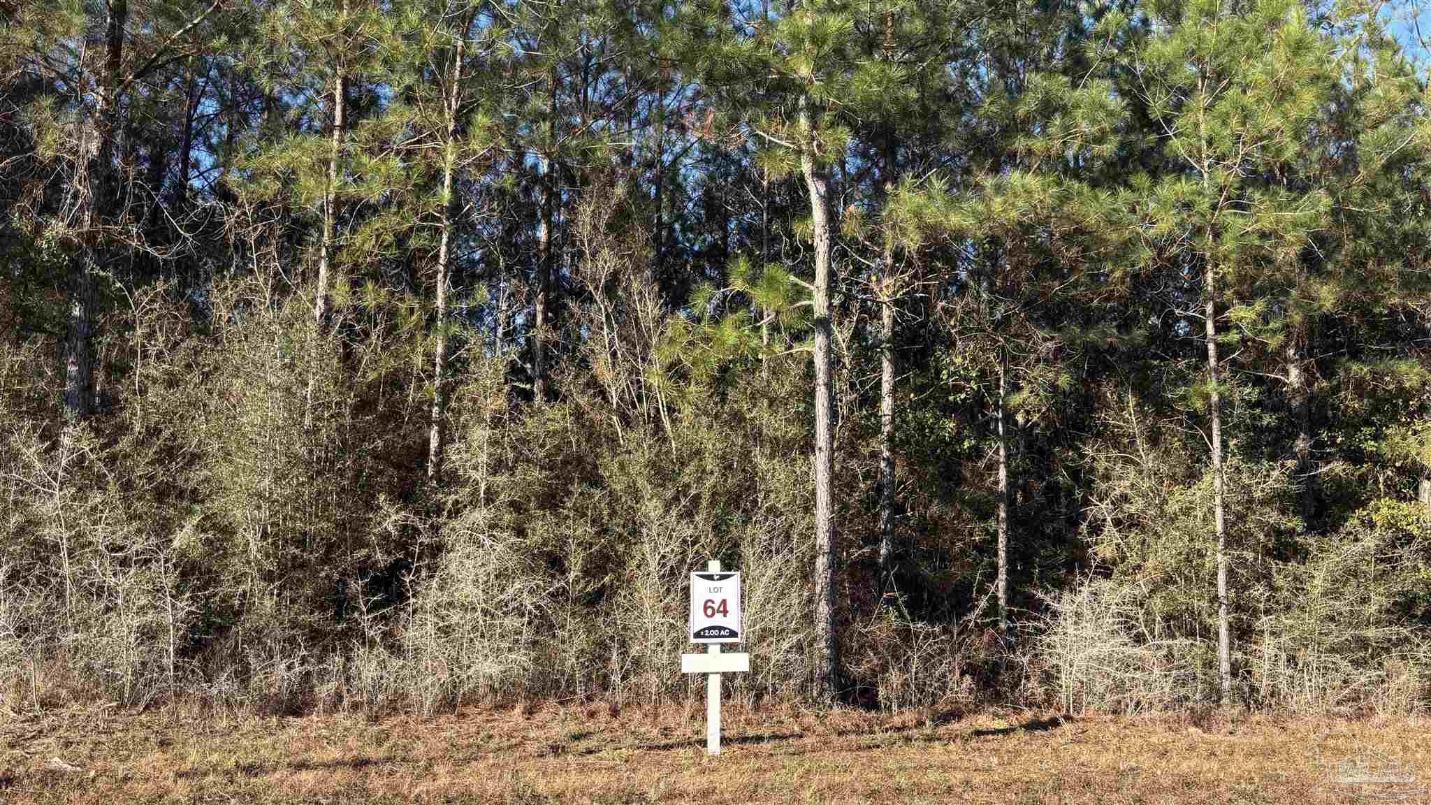 Lot 64 Straw Bridge Road Jay, FL 32565 - Photo 2 of 6