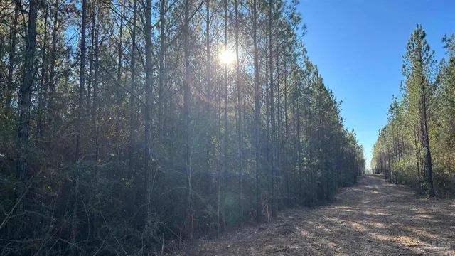 $99,900 | Lot 64 Straw Bridge Road, Jay, FL 32565