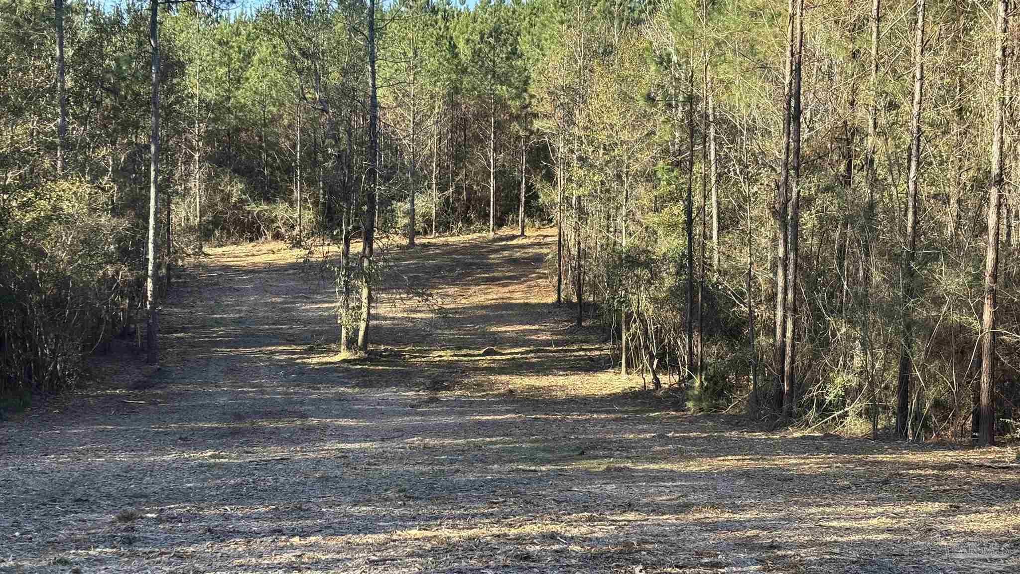 Lot 64 Straw Bridge Road Jay, FL 32565 - Photo 5 of 6