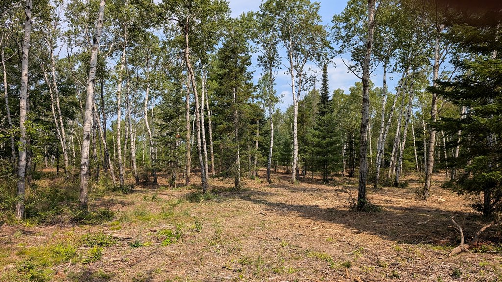 Lot 6 Wandering Down Road Fish Creek, WI 54212 - Photo 16 of 21