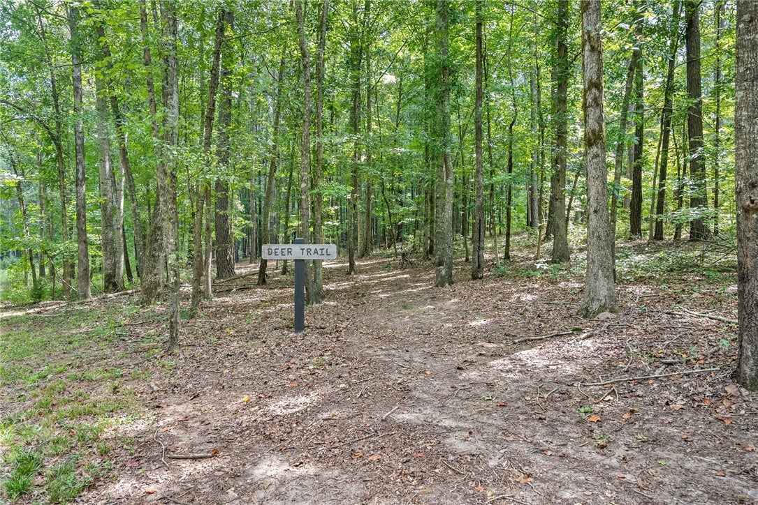 6669 West Farmville Road Waverly, AL 36879 - Photo 29 of 41 Gallery Image 29
