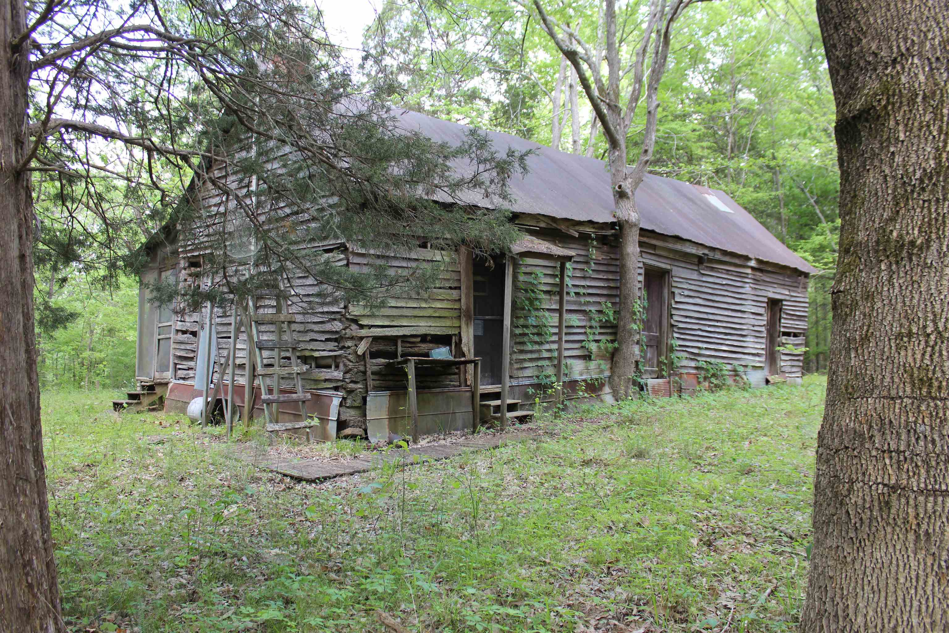 0 Maroney Road Medon, TN 38356 - Photo 17 of 37 Gallery Image 17