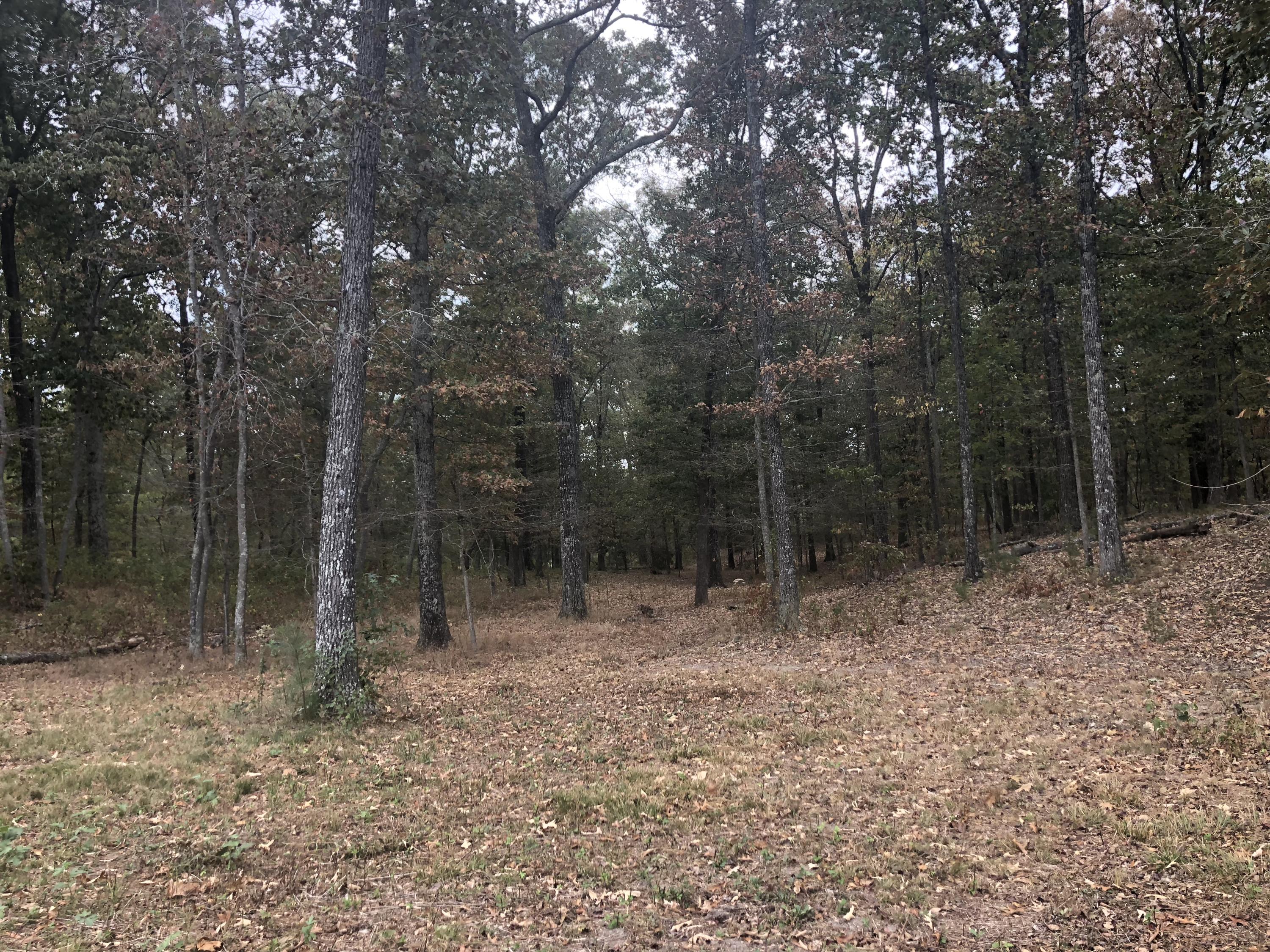 2023 New Home Road Trenton, GA 30752 - Photo 15 of 16 IMG_2827