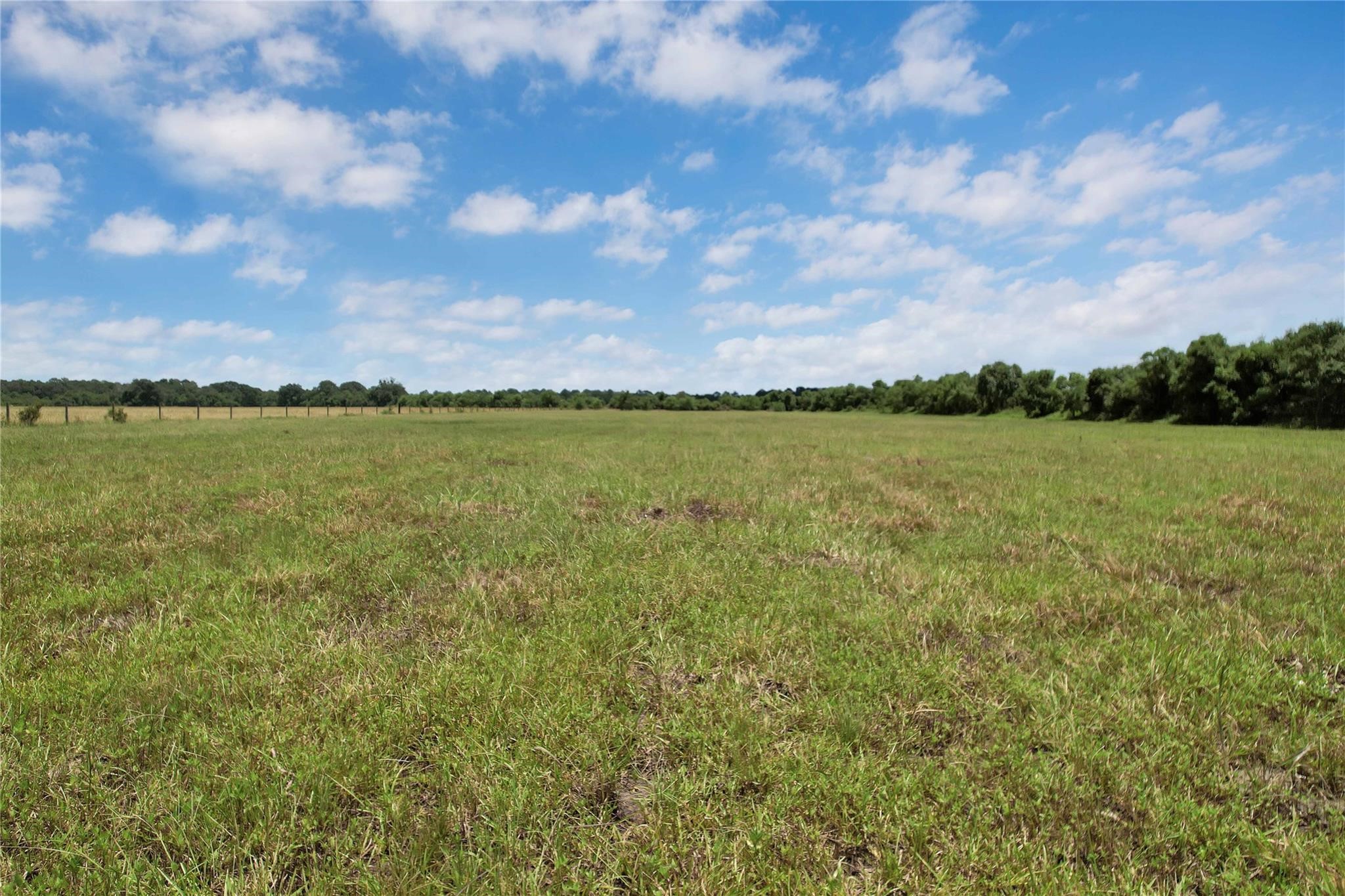 0 Jobe Wilson Road Anahuac, TX 77514 - Photo 9 of 13 a view of a lake with a big yard