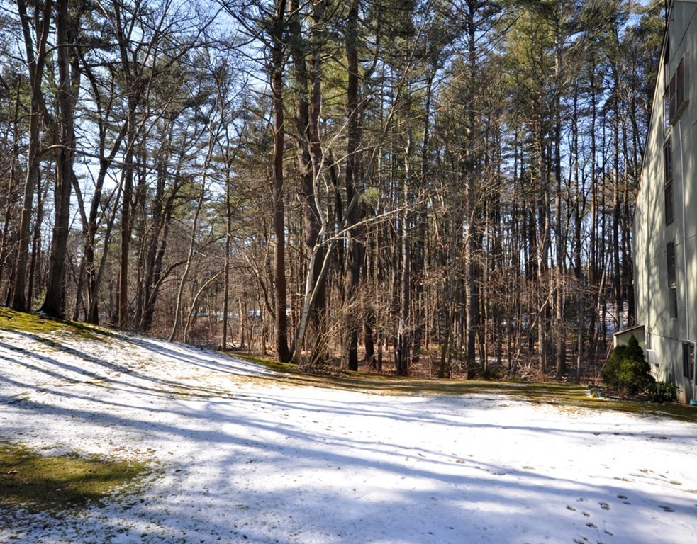 368 Great Road, Unit 1 Acton, MA 01720 - Photo 20 of 33 Gallery Image 20