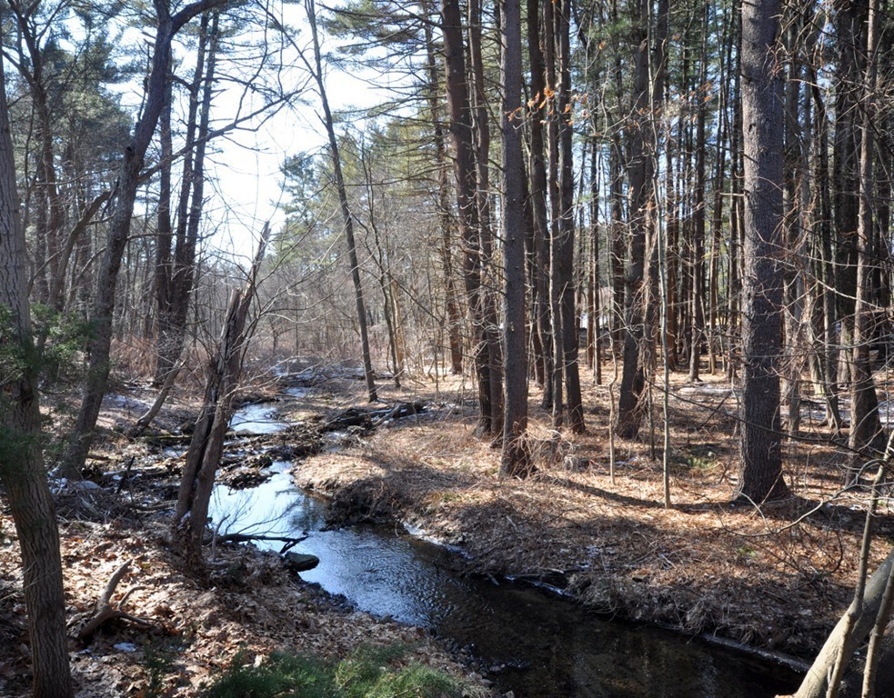368 Great Road, Unit 1 Acton, MA 01720 - Photo 23 of 33 Gallery Image 23