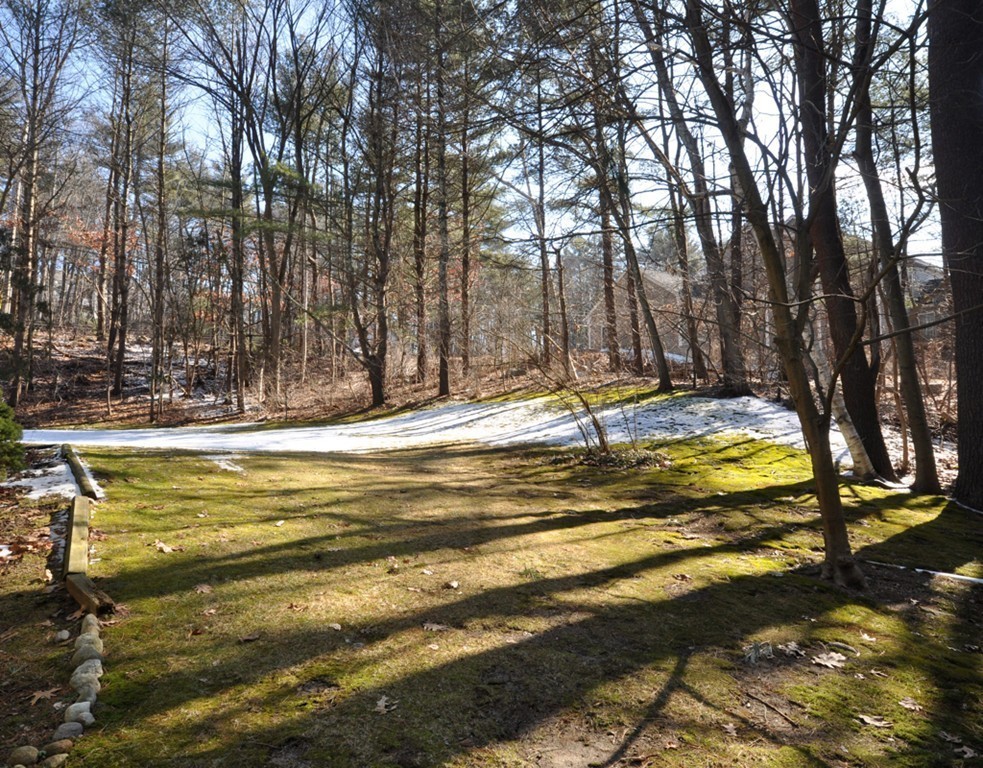 368 Great Road, Unit 1 Acton, MA 01720 - Photo 25 of 33 Gallery Image 25