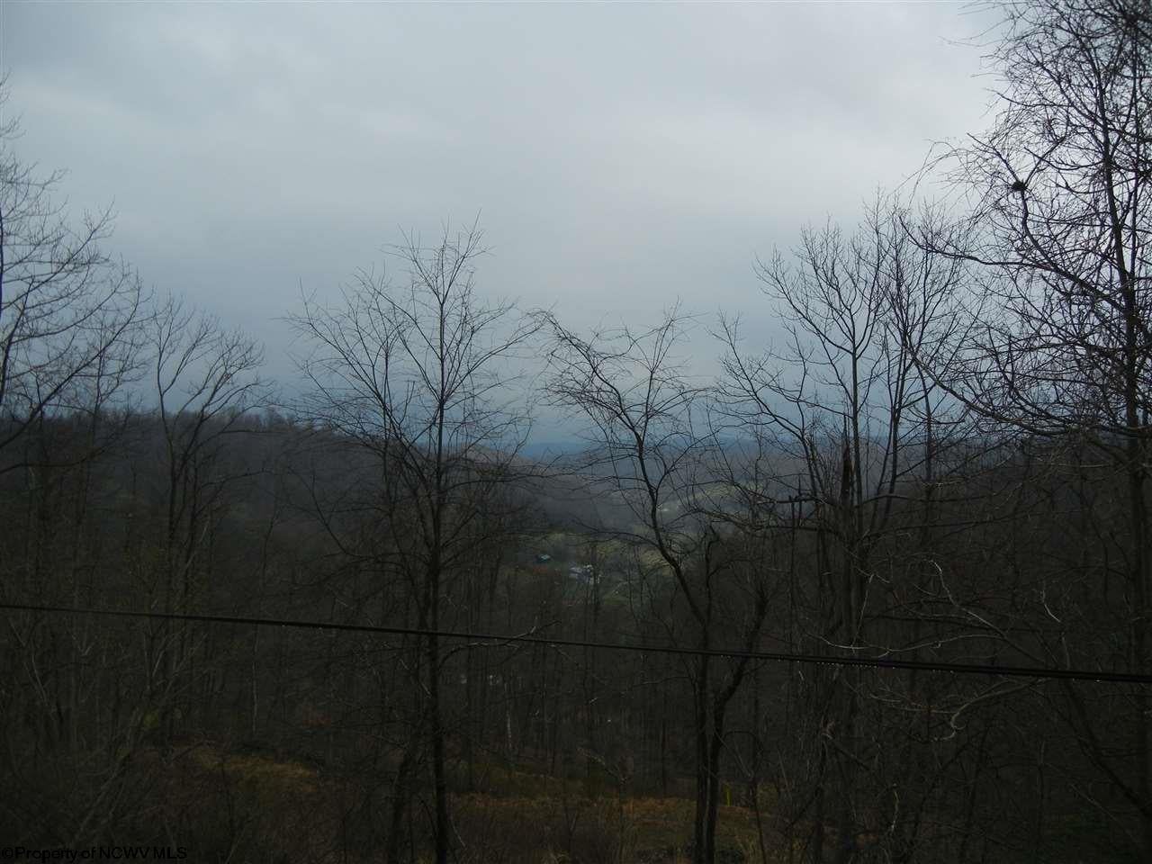 1470 Pedlar Run Road Maidsville, WV 26541 - Photo 16 of 17 Gallery Image 16