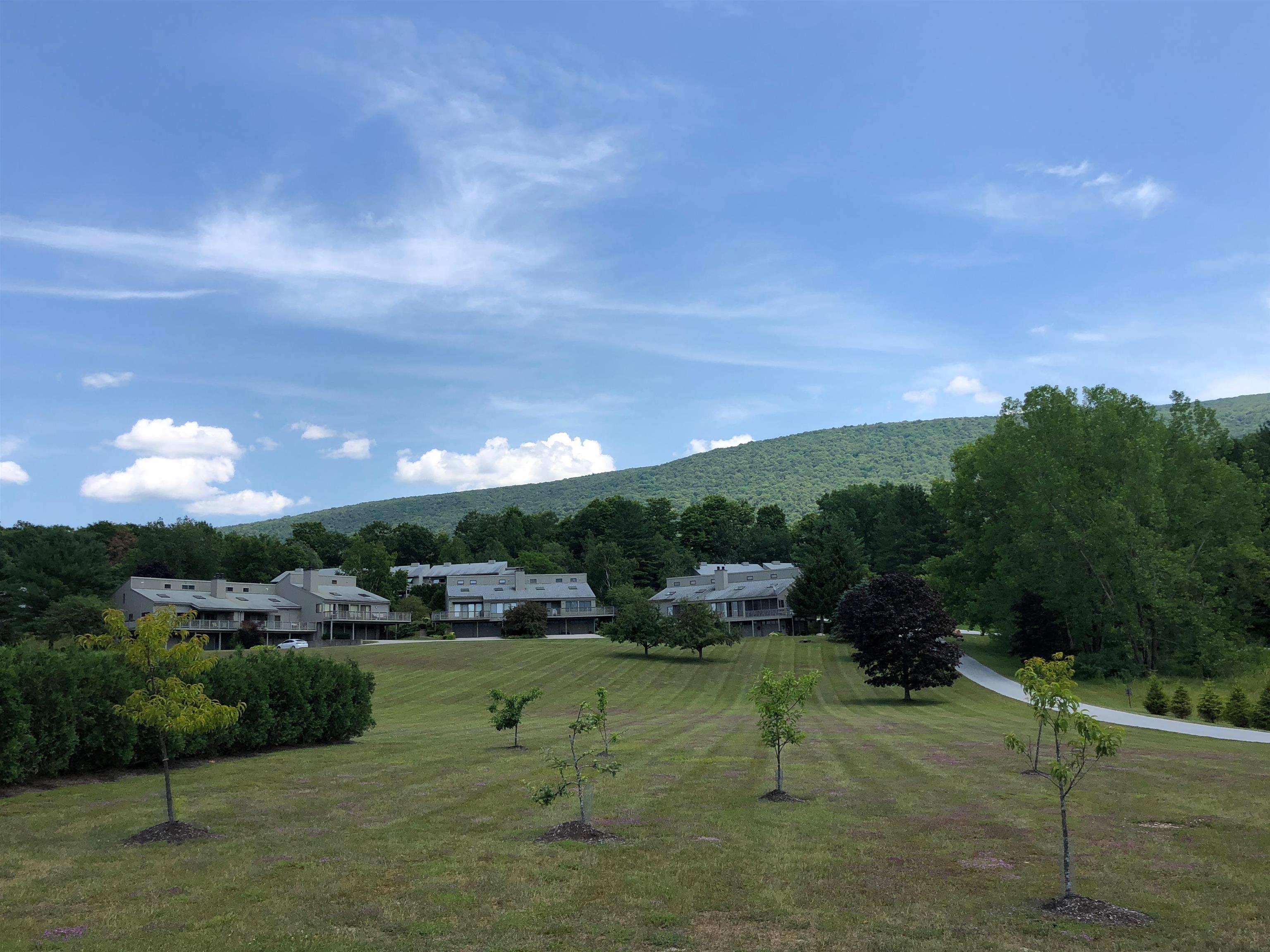 1404 Vaughn Farm Road, Unit 4 Manchester Center, VT 05255 - Photo 3 of 17 Gallery Image 3