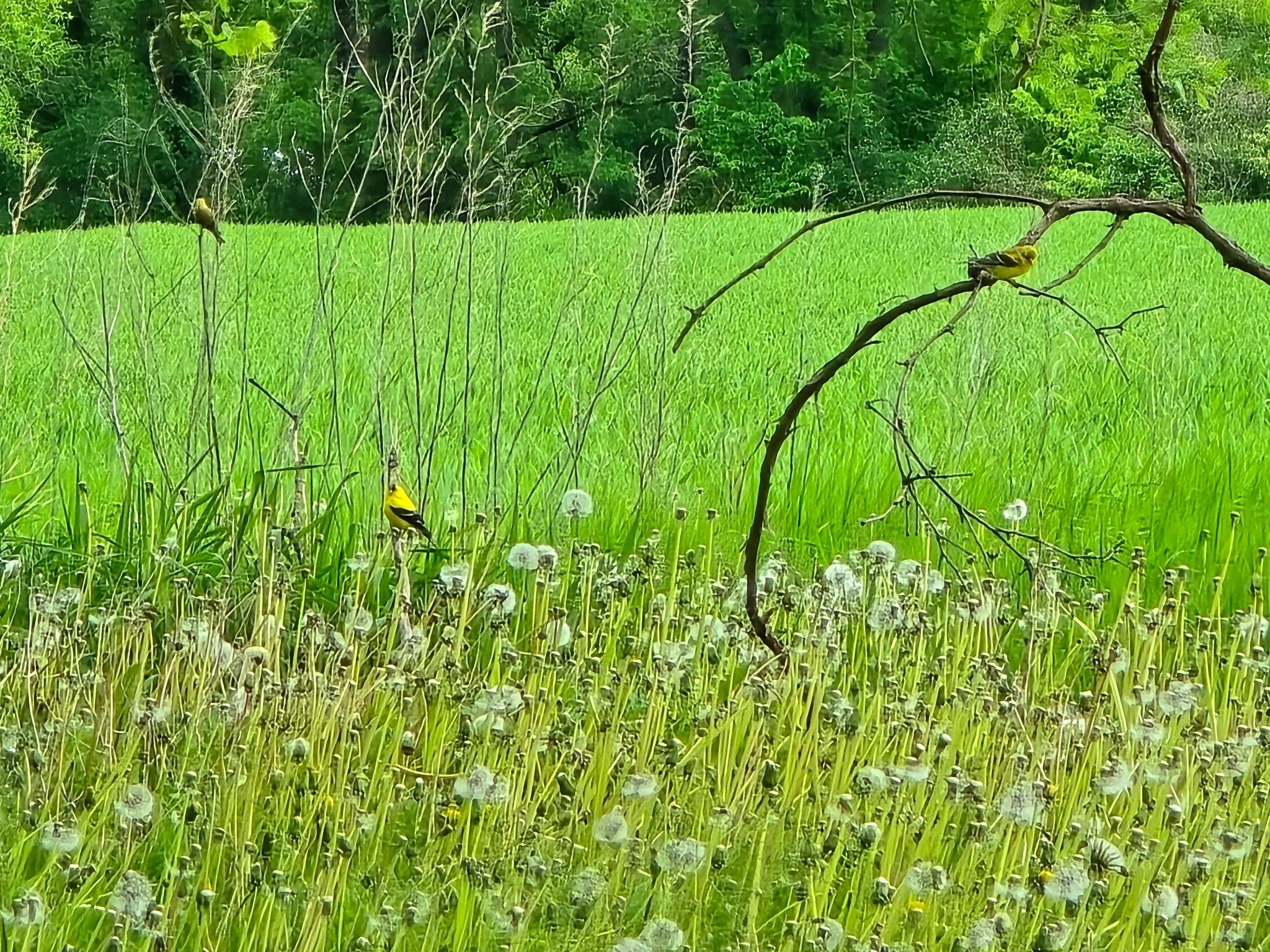 S7321 New Haven Road North Freedom, WI 53951 - Photo 4 of 18