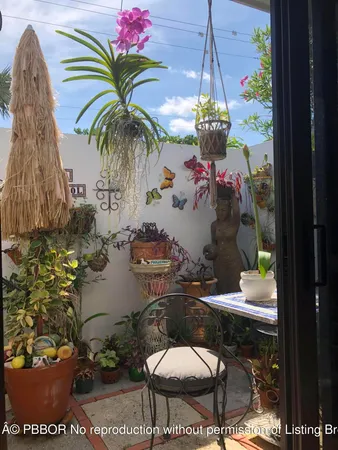 a room with lots of potted plants and view of living room