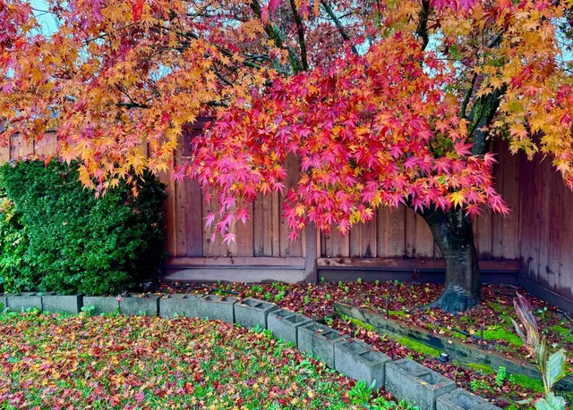 $778,000 | 3739 Parrett Avenue, Napa, CA 94558