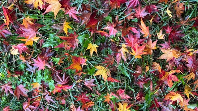 $778,000 | 3739 Parrett Avenue, Napa, CA 94558