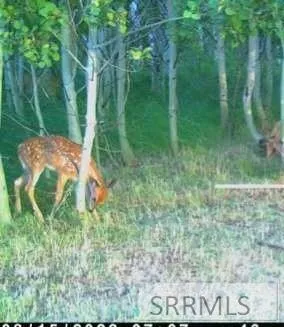 $224,900 | 1650 Renegade Fly Drive, Ashton, ID 83420