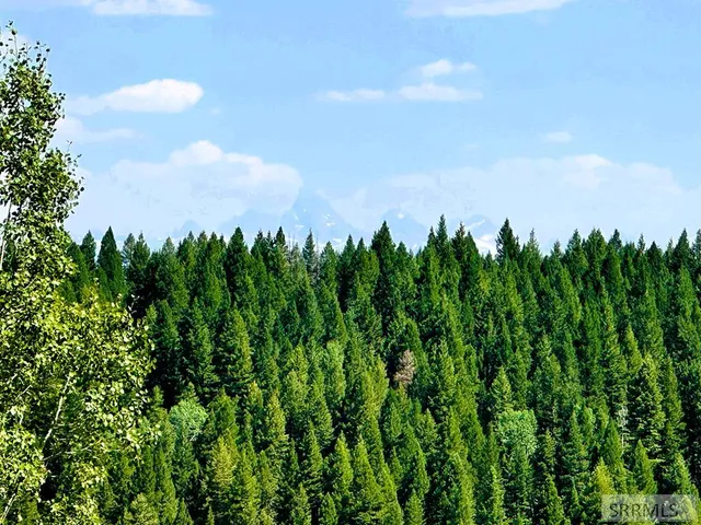 $224,900 | 1650 Renegade Fly Drive, Ashton, ID 83420