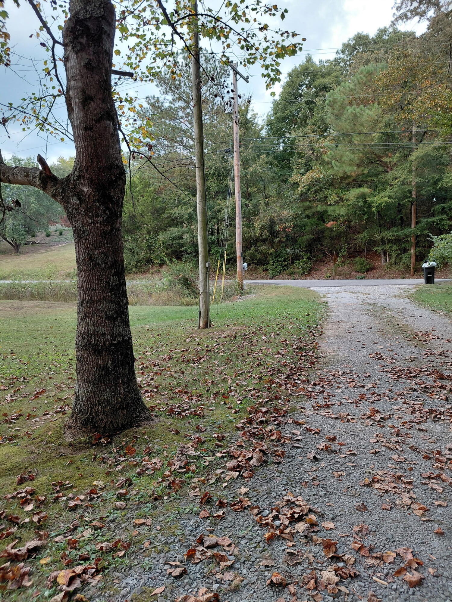 2796 Smyrna Road Dayton, TN 37321 - Photo 32 of 46 6714997041551604893