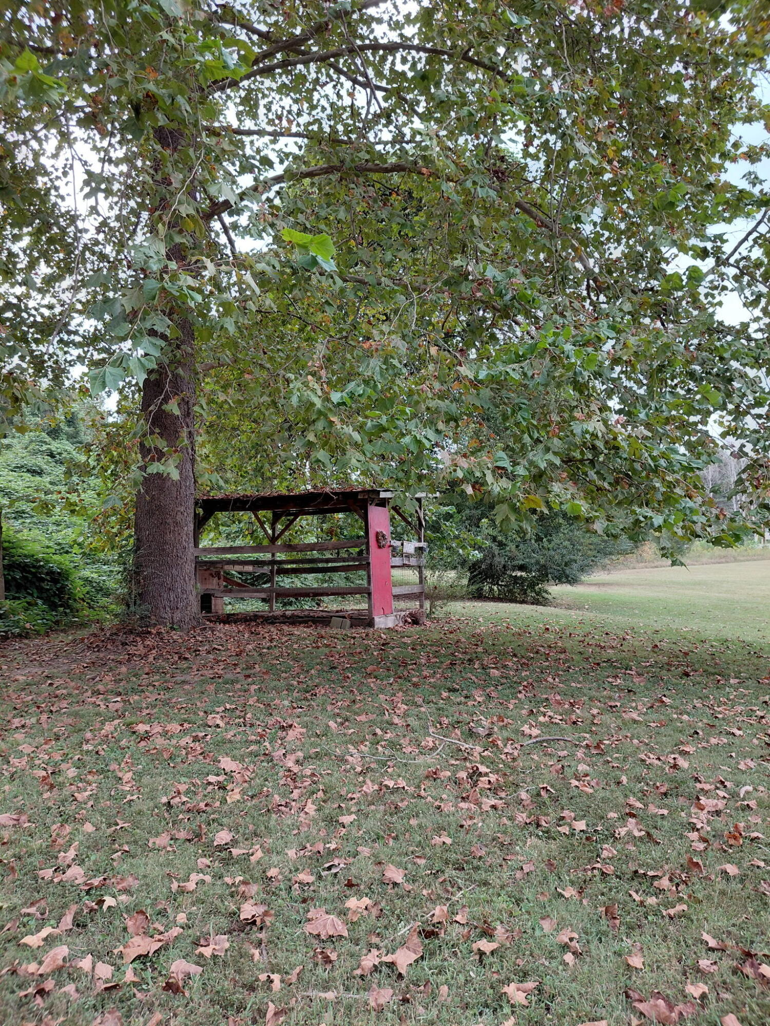 2796 Smyrna Road Dayton, TN 37321 - Photo 33 of 46 7241597433734863136