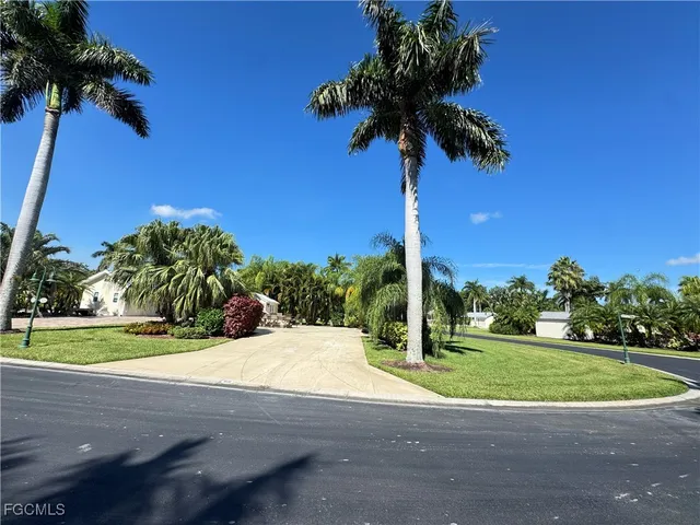 a view of a garden with a tree