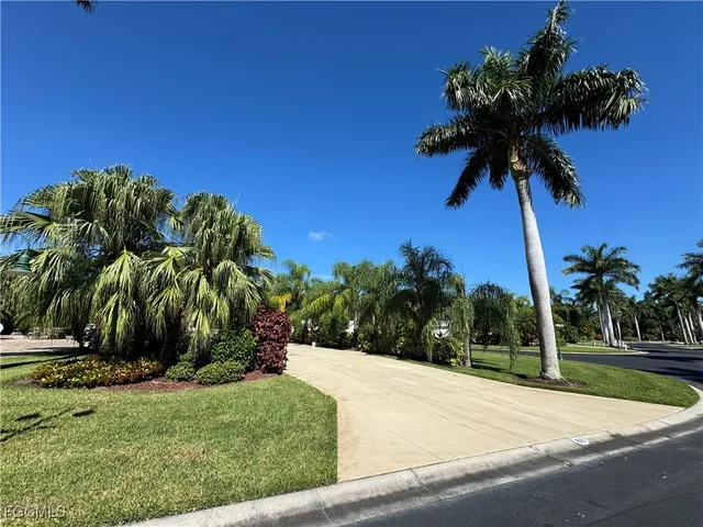 a view of a yard with palm trees
