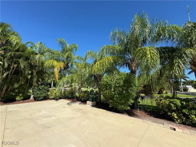 a view of a yard with plants