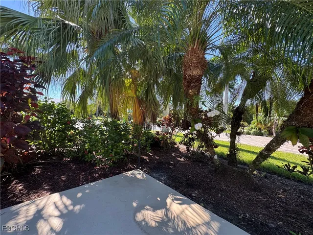 a view of a yard with plants