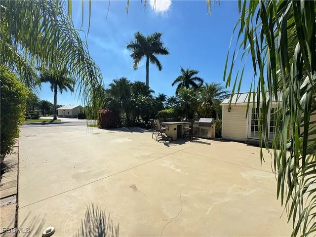 a view of potted plants and palm trees