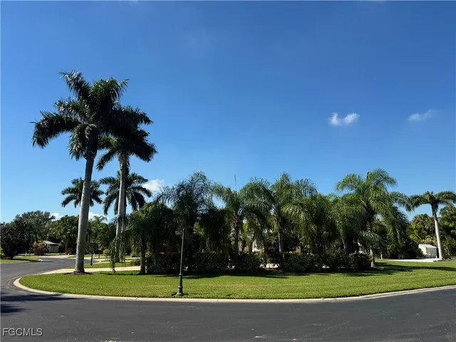 a palm tree sitting in a yard with a large trees