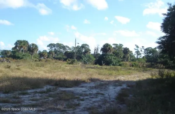a view of dirt field and trees