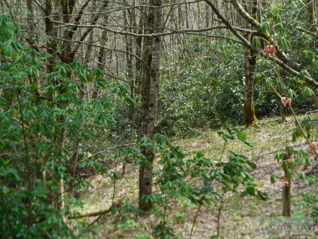 Corner Of Whenlin Ridge Lansing, NC 28643 - Photo 4 of 17