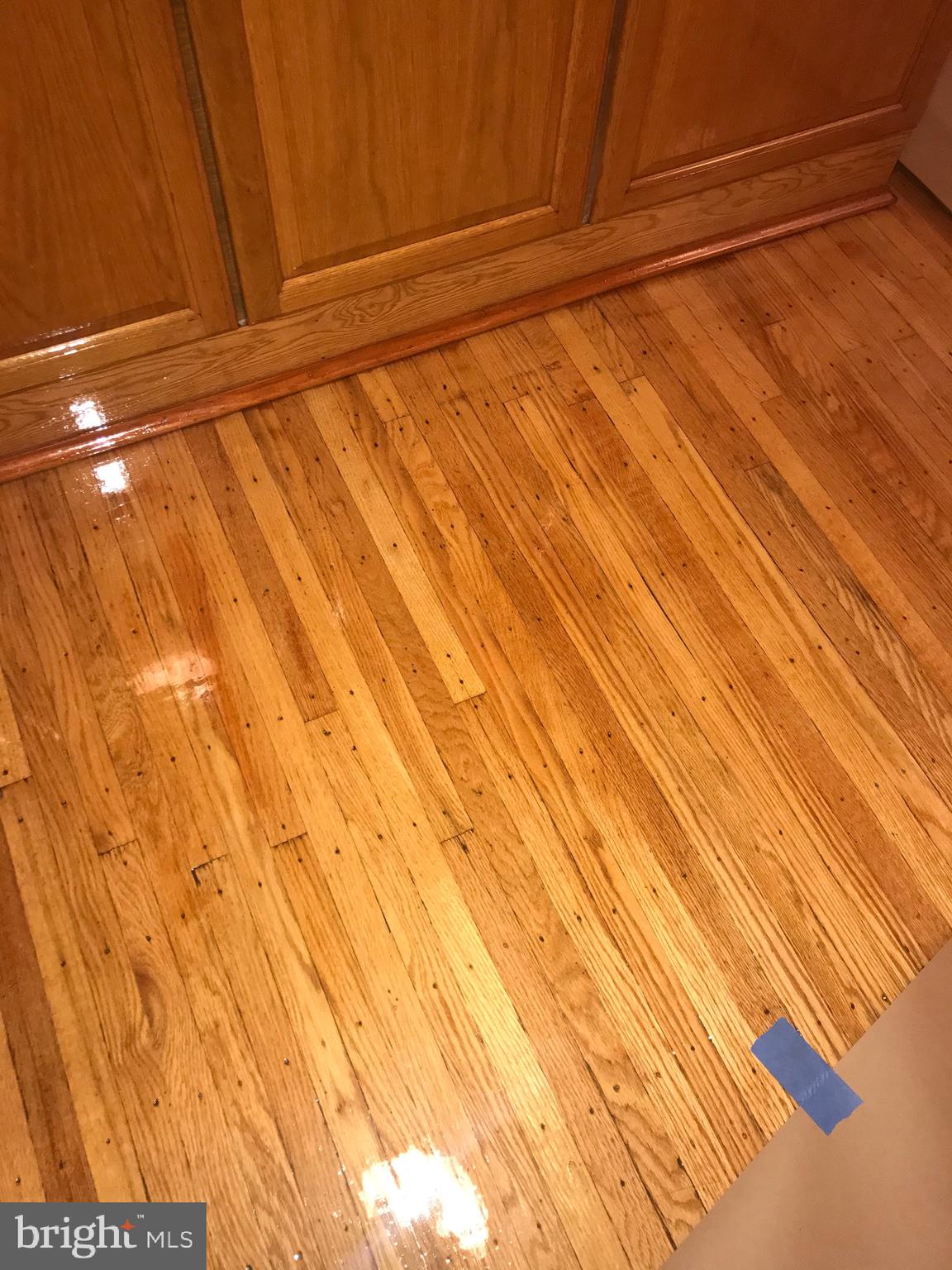 338 Maypole Road Upper Darby, PA 19082 - Photo 7 of 20