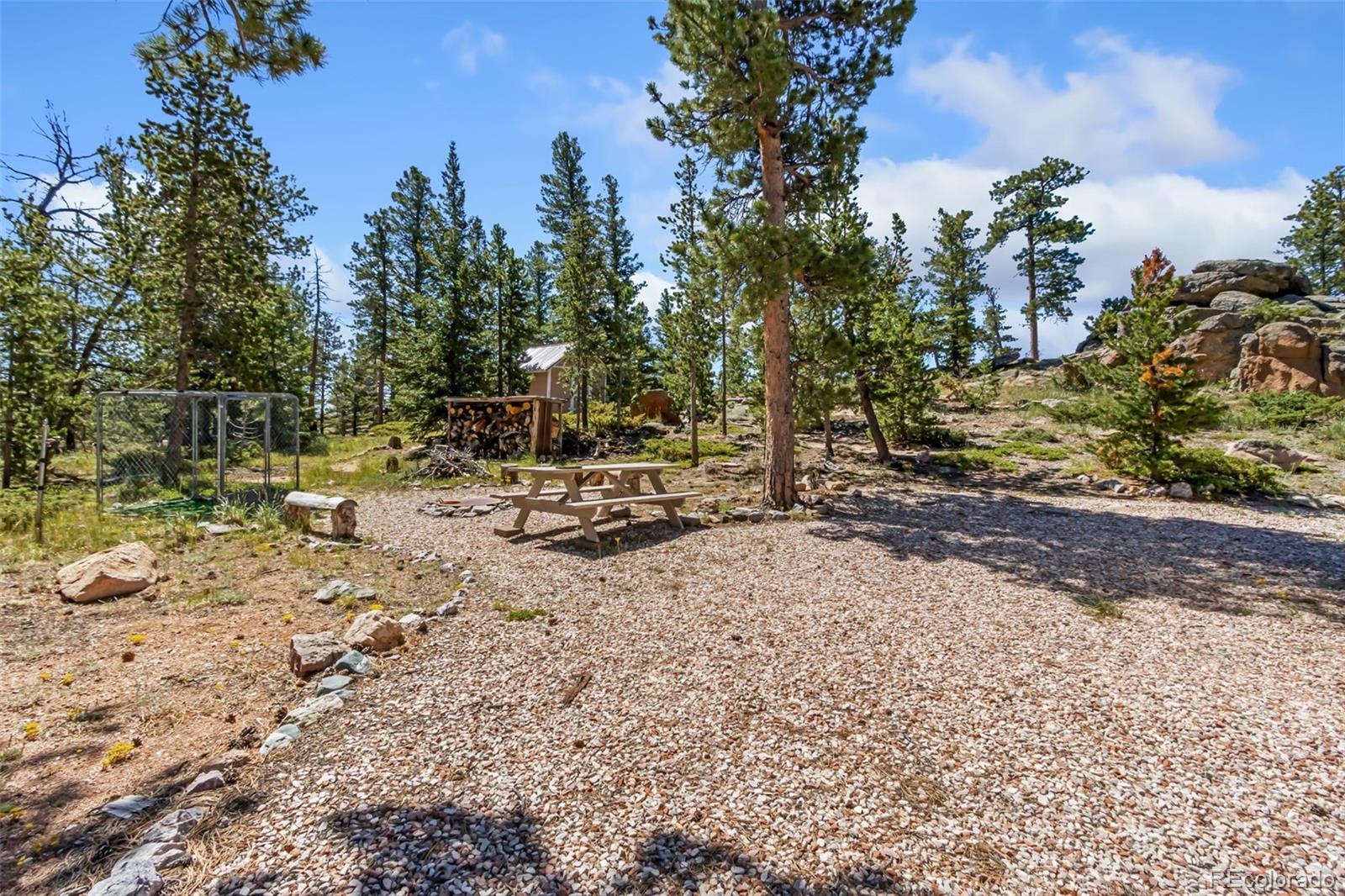 11 Inca Court Red Feather Lakes, CO 80545 - Photo 9 of 36
