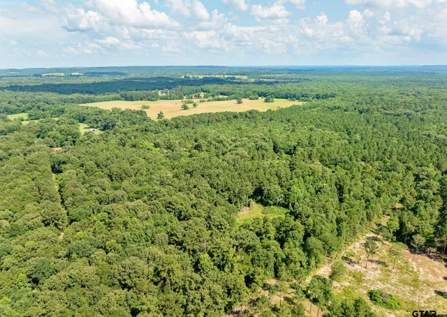 a view of a green field