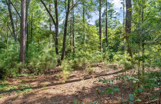 a view of outdoor space and trees