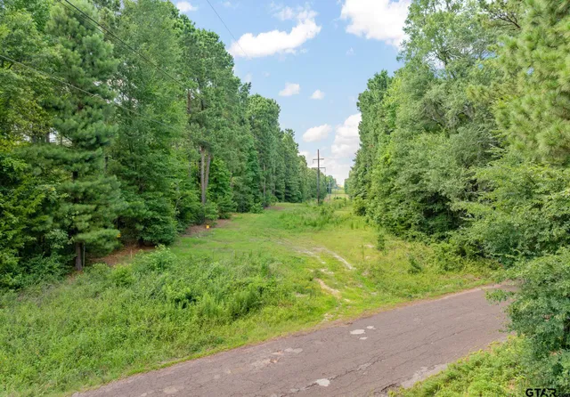 a view of a yard with plants and a large tree