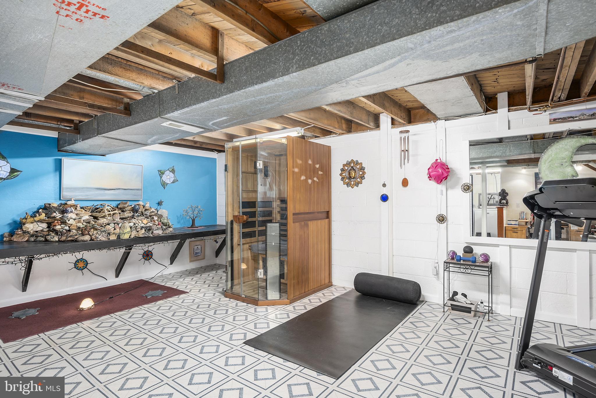 14 East Parkway Elkton, MD 21921 - Photo 19 of 23 Finished Basement with Sauna