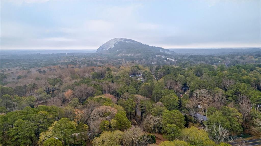 1200 Silver Hill Road Stone Mountain, GA 30087 - Photo 26 of 26 an aerial view of residential house and green space