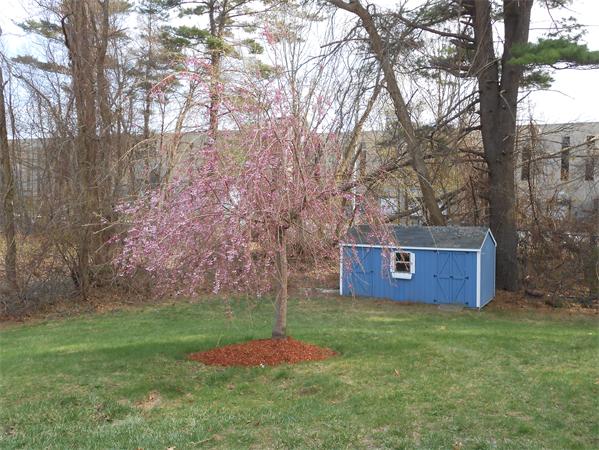 122 Fowler Road Lowell, MA 01854 - Photo 3 of 30