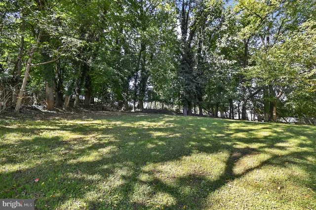 a view of outdoor space with trees all around