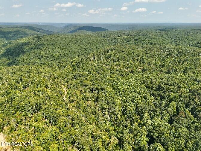 Manson Road Jamestown, TN 38556 - Photo 9 of 20 Beaty Manson 9