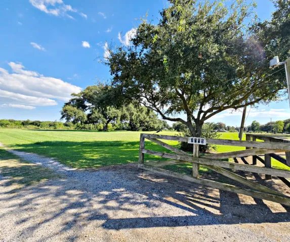 a view of a park with large trees