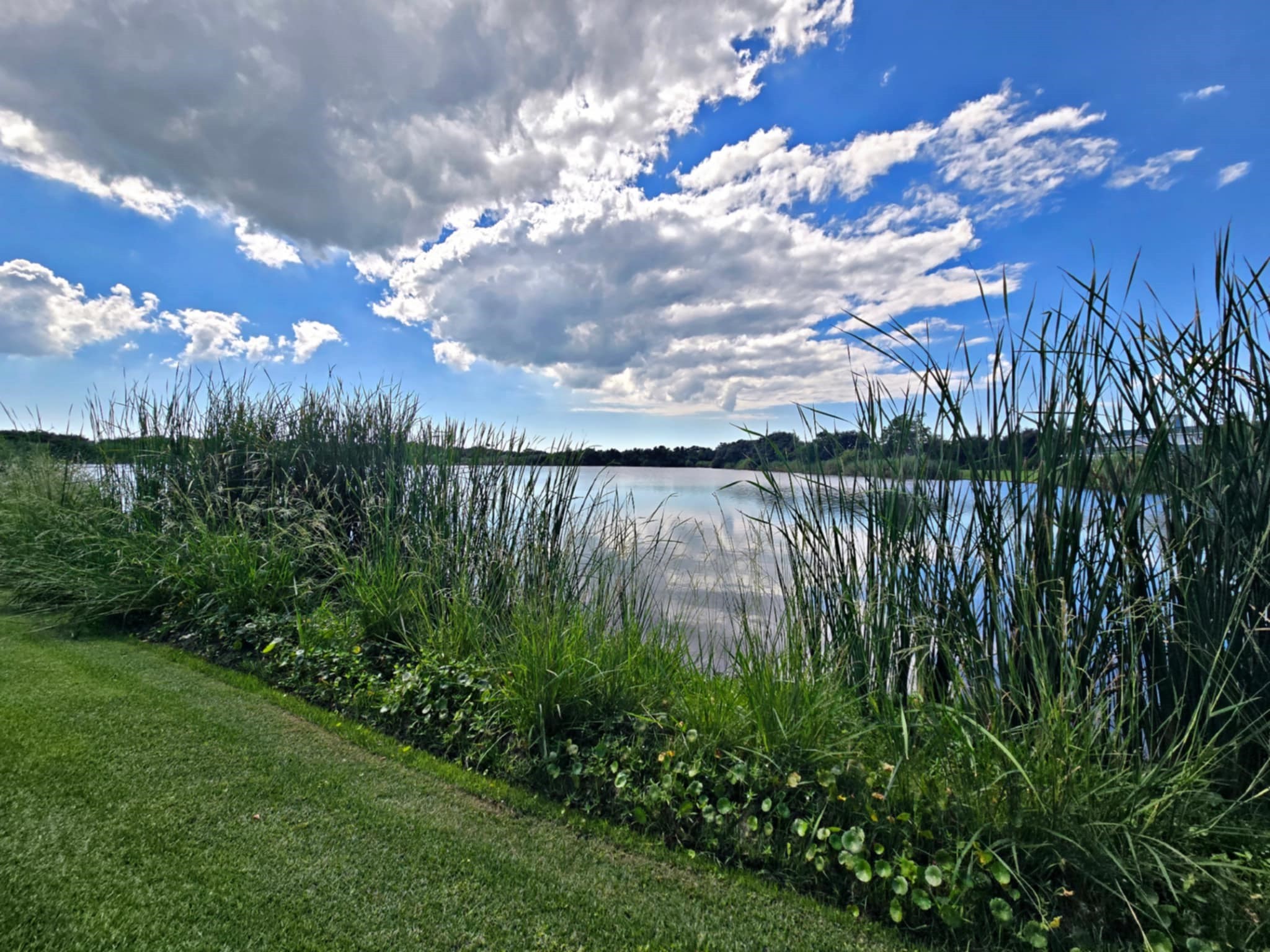 7165 Backridge Road Sabine Pass, TX 77655 - Photo 48 of 49 a view of a lake