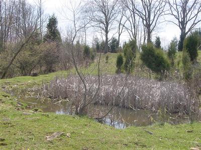 735 Mountain Island Road Corinth, KY 41010 - Photo 7 of 14 Photo 7