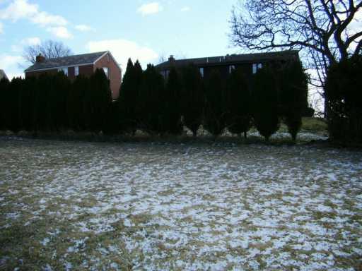 633 Greenlee Road Whitehall, PA 15227 - Photo 6 of 6 Yard/Garden.