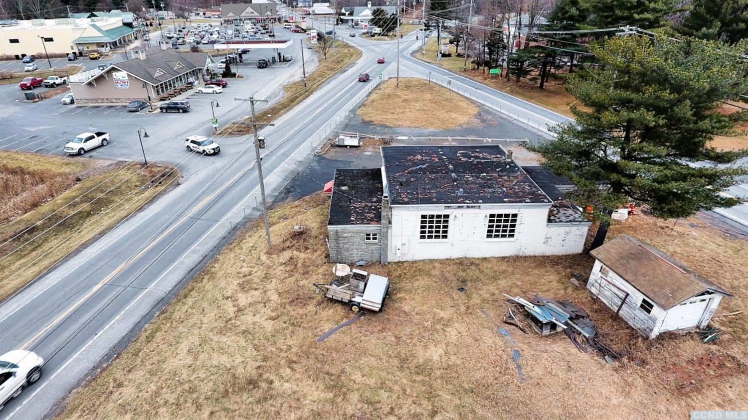 189 Main Street Cairo, NY 12413 - Photo 21 of 57 an aerial view of a house with a yard